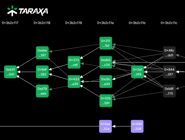 Taraxa Visualizer